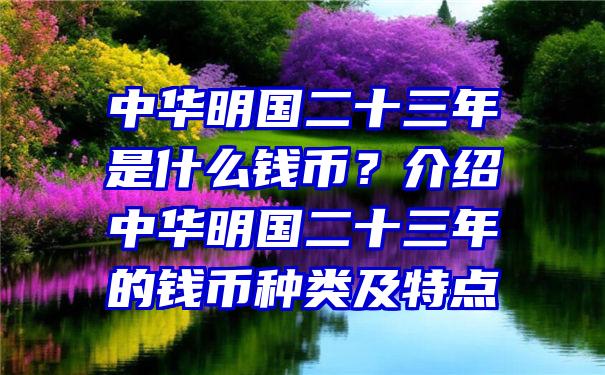 中华明国二十三年是什么钱币？介绍中华明国二十三年的钱币种类及特点