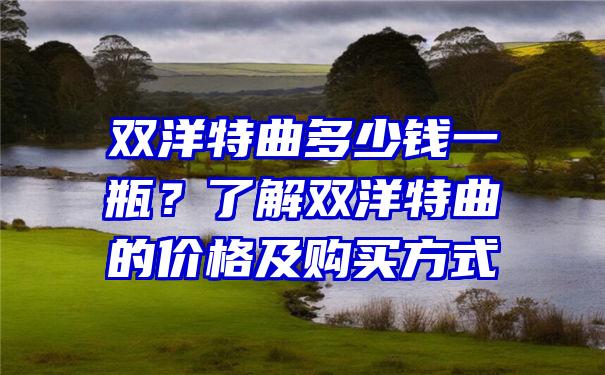 双洋特曲多少钱一瓶？了解双洋特曲的价格及购买方式