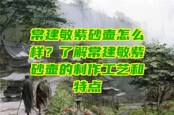 常建敏紫砂壶怎么样？了解常建敏紫砂壶的制作工艺和特点