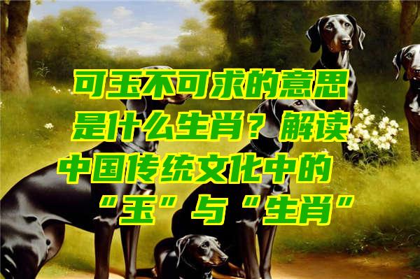 可玉不可求的意思是什么生肖？解读中国传统文化中的“玉”与“生肖”