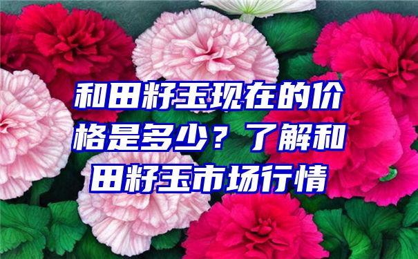 和田籽玉现在的价格是多少？了解和田籽玉市场行情