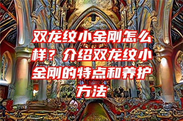 双龙纹小金刚怎么样？介绍双龙纹小金刚的特点和养护方法