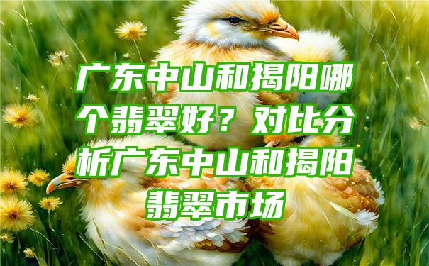 广东中山和揭阳哪个翡翠好？对比分析广东中山和揭阳翡翠市场