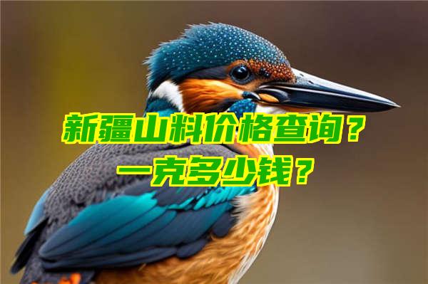 新疆山料价格查询？一克多少钱？