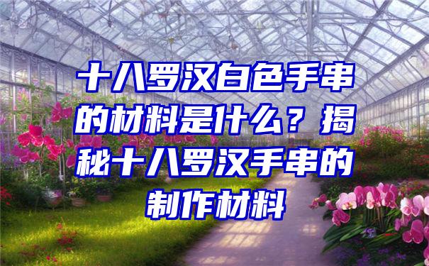 十八罗汉白色手串的材料是什么？揭秘十八罗汉手串的制作材料