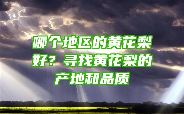 哪个地区的黄花梨好？寻找黄花梨的产地和品质