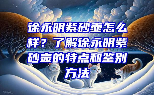 徐永明紫砂壶怎么样？了解徐永明紫砂壶的特点和鉴别方法