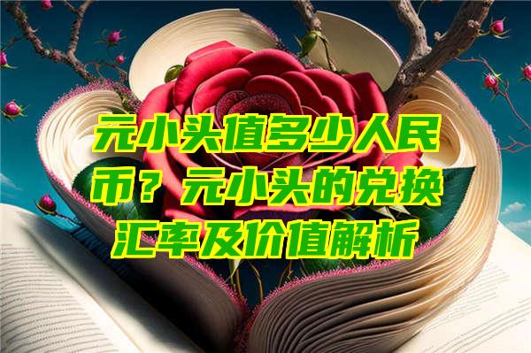 元小头值多少人民币？元小头的兑换汇率及价值解析