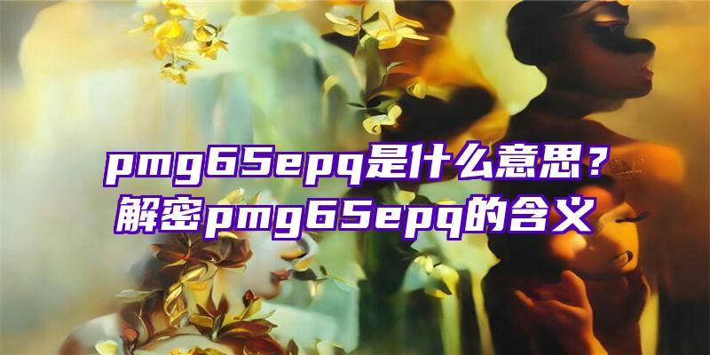 pmg65epq是什么意思？解密pmg65epq的含义