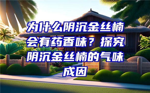 为什么阴沉金丝楠会有药香味？探究阴沉金丝楠的气味成因