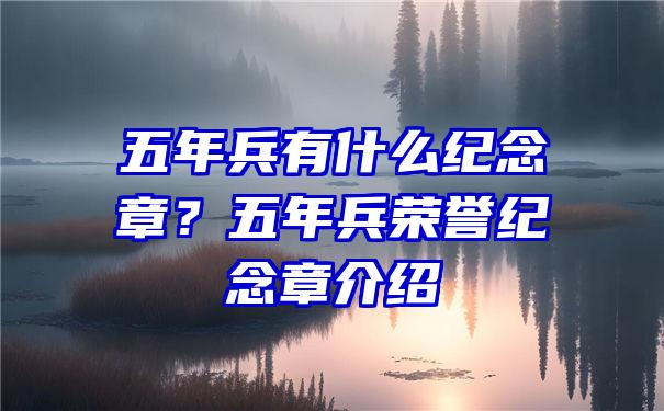 五年兵有什么纪念章？五年兵荣誉纪念章介绍