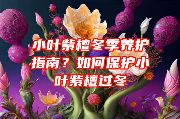 小叶紫檀冬季养护指南？如何保护小叶紫檀过冬