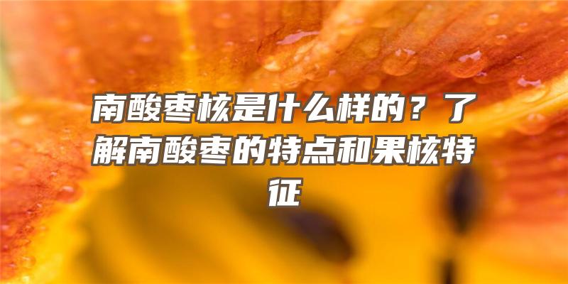 南酸枣核是什么样的？了解南酸枣的特点和果核特征