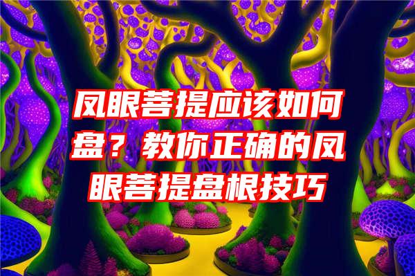 凤眼菩提应该如何盘？教你正确的凤眼菩提盘根技巧