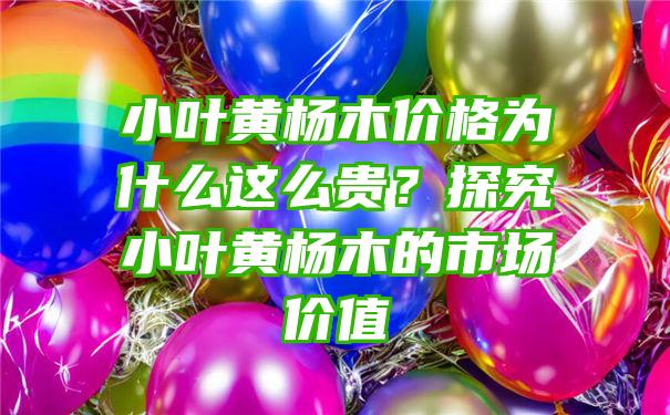 小叶黄杨木价格为什么这么贵？探究小叶黄杨木的市场价值