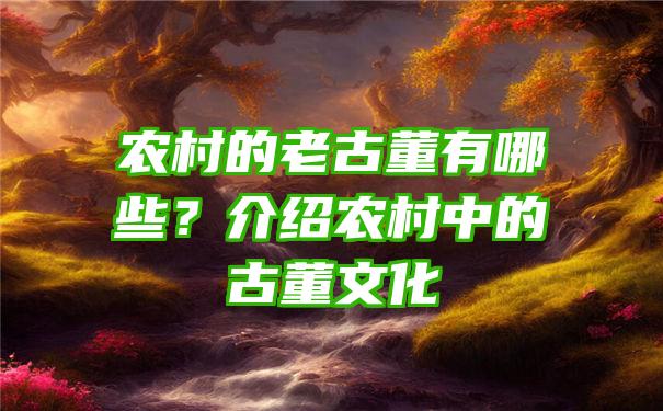 农村的老古董有哪些？介绍农村中的古董文化