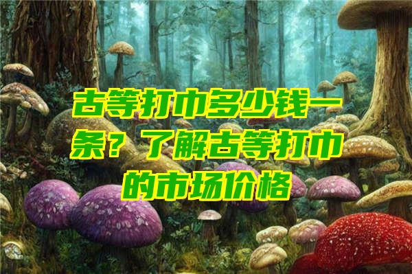 古等打巾多少钱一条？了解古等打巾的市场价格