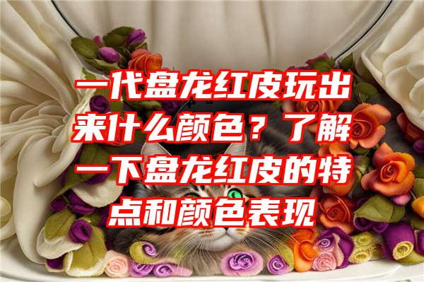 一代盘龙红皮玩出来什么颜色？了解一下盘龙红皮的特点和颜色表现