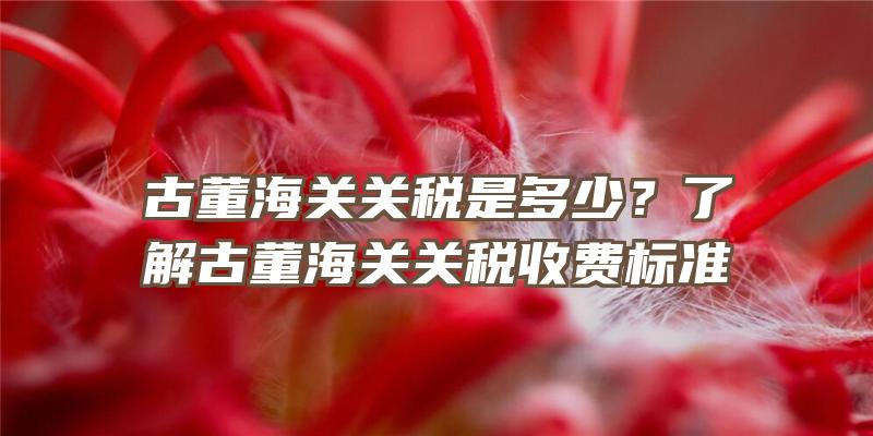 古董海关关税是多少？了解古董海关关税收费标准