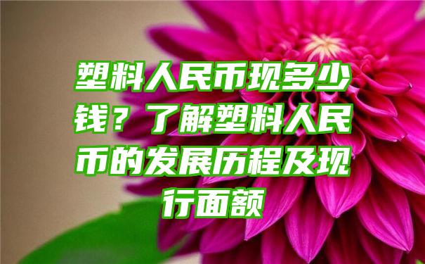 塑料人民币现多少钱？了解塑料人民币的发展历程及现行面额