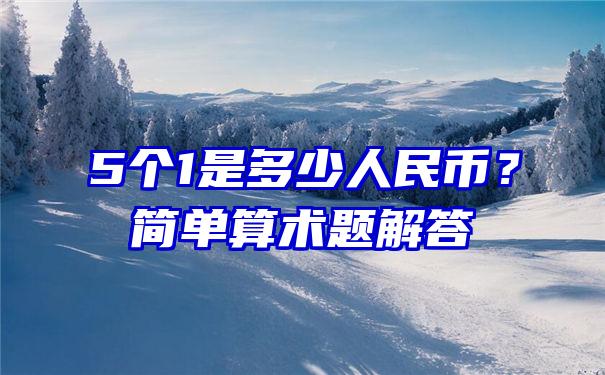 5个1是多少人民币？简单算术题解答