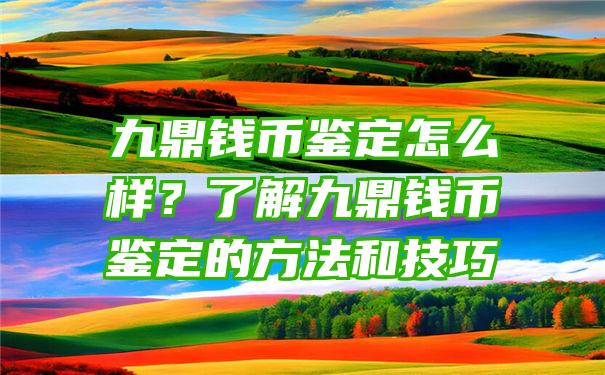 九鼎钱币鉴定怎么样？了解九鼎钱币鉴定的方法和技巧