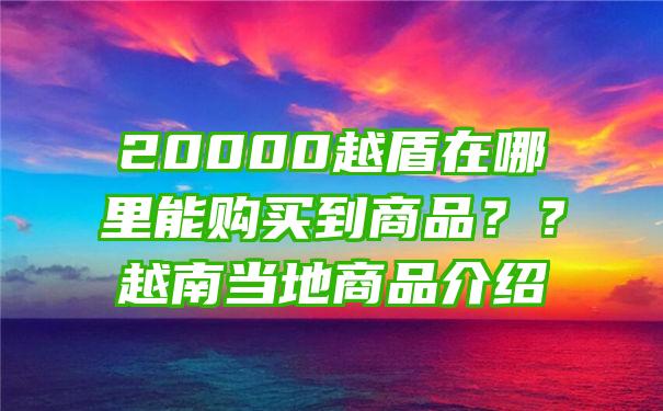 20000越盾在哪里能购买到商品？？越南当地商品介绍