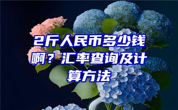 2斤人民币多少钱啊？汇率查询及计算方法