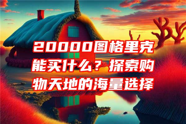 20000图格里克能买什么？探索购物天地的海量选择