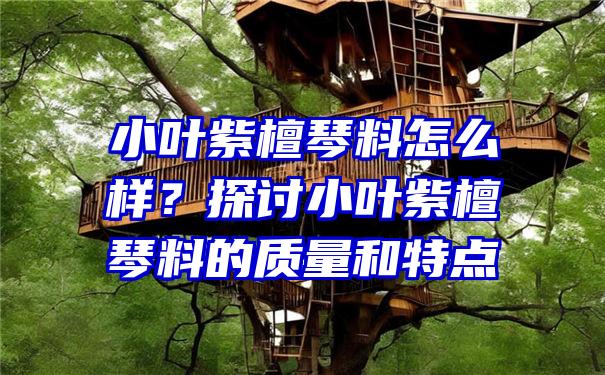 小叶紫檀琴料怎么样？探讨小叶紫檀琴料的质量和特点