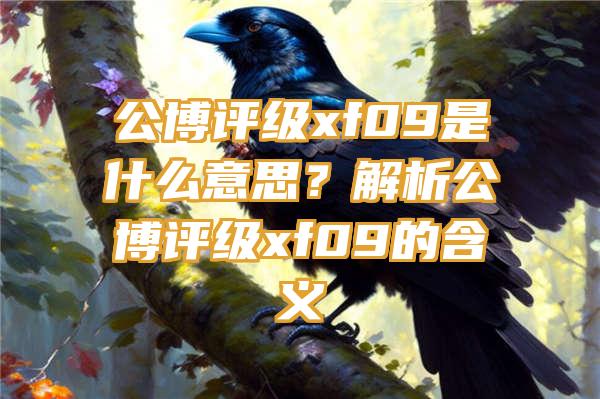 公博评级xf09是什么意思？解析公博评级xf09的含义