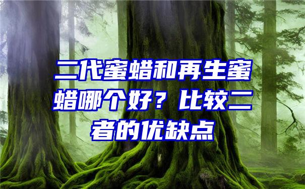 二代蜜蜡和再生蜜蜡哪个好？比较二者的优缺点