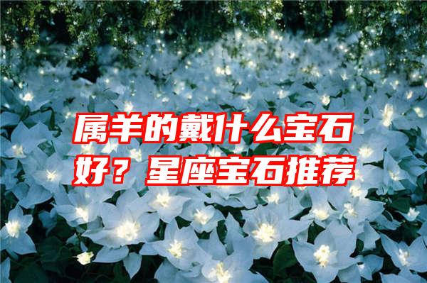 属羊的戴什么宝石好？星座宝石推荐