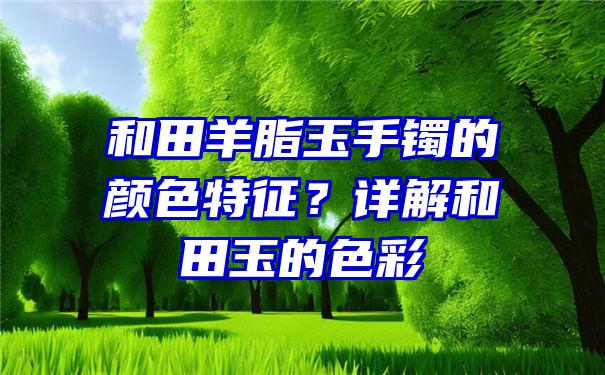 和田羊脂玉手镯的颜色特征？详解和田玉的色彩