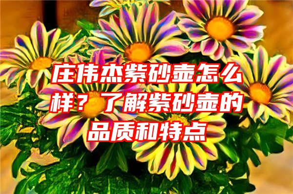 庄伟杰紫砂壶怎么样？了解紫砂壶的品质和特点