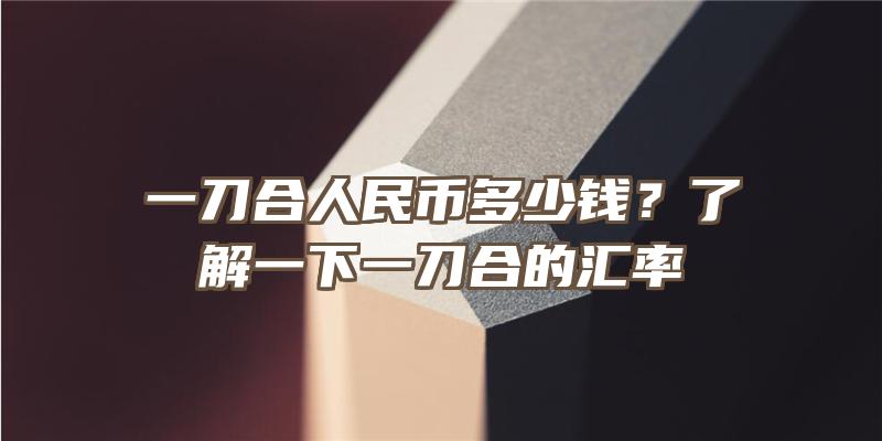 一刀合人民币多少钱？了解一下一刀合的汇率