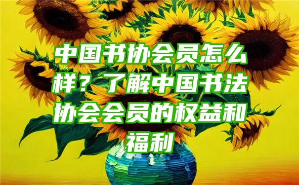 中国书协会员怎么样？了解中国书法协会会员的权益和福利