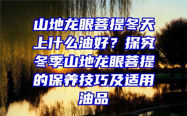 山地龙眼菩提冬天上什么油好？探究冬季山地龙眼菩提的保养技巧及适用油品