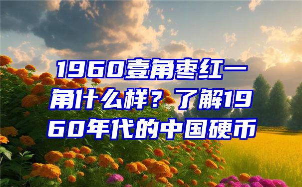 1960壹角枣红一角什么样？了解1960年代的中国硬币