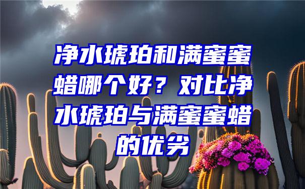 净水琥珀和满蜜蜜蜡哪个好？对比净水琥珀与满蜜蜜蜡的优劣