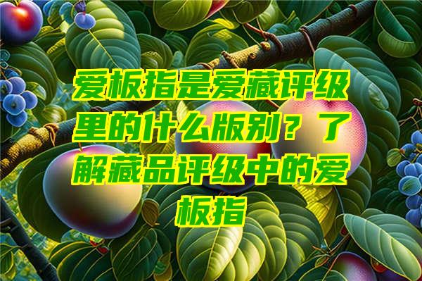 爱板指是爱藏评级里的什么版别？了解藏品评级中的爱板指