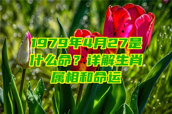 1979年4月27是什么命？详解生肖属相和命运