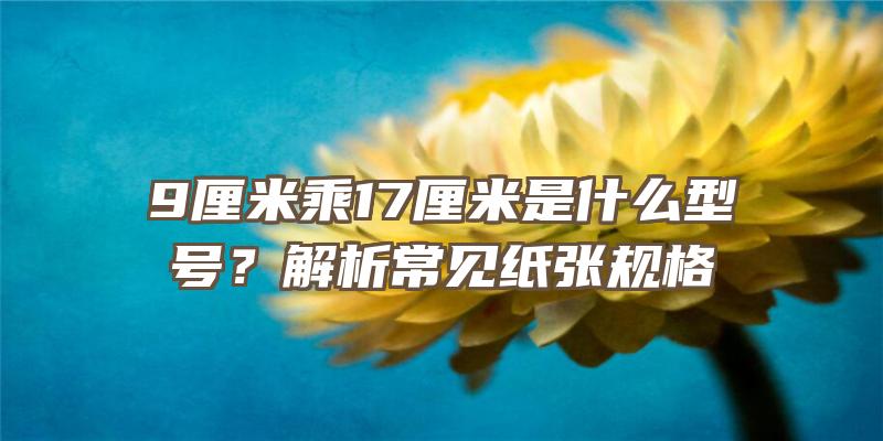 9厘米乘17厘米是什么型号？解析常见纸张规格