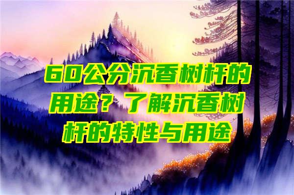 60公分沉香树杆的用途？了解沉香树杆的特性与用途