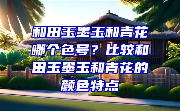 和田玉墨玉和青花哪个色号？比较和田玉墨玉和青花的颜色特点