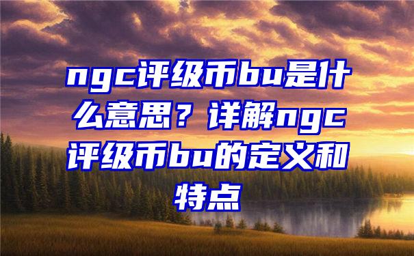 ngc评级币bu是什么意思？详解ngc评级币bu的定义和特点