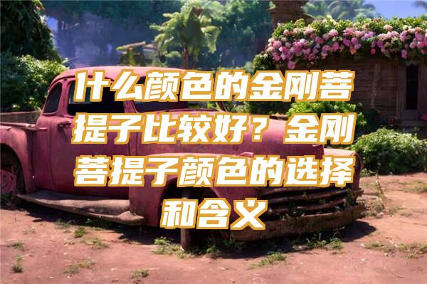 什么颜色的金刚菩提子比较好？金刚菩提子颜色的选择和含义