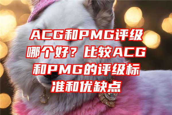 ACG和PMG评级哪个好？比较ACG和PMG的评级标准和优缺点