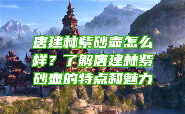 唐建林紫砂壶怎么样？了解唐建林紫砂壶的特点和魅力