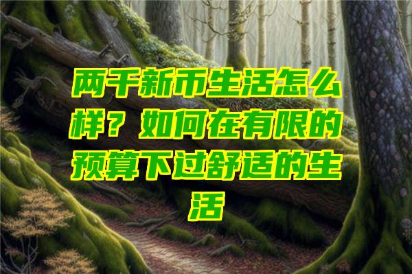 两千新币生活怎么样？如何在有限的预算下过舒适的生活